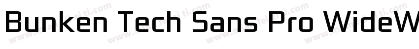 Bunken Tech Sans Pro WideW01SB字体转换